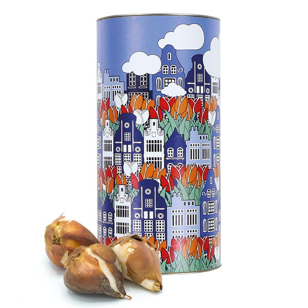 Stor blomsterløgskrukke